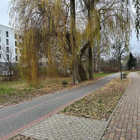 Apartament Kosciuszki 33F Iława Eksteriør bilde